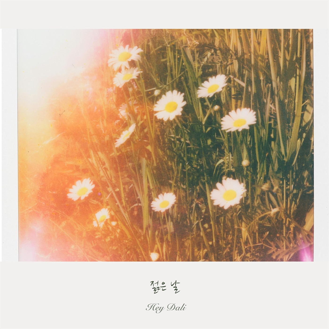Image Cover